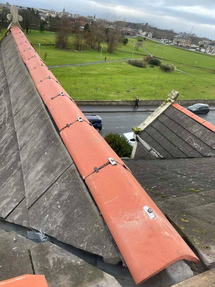 5771488104052100482 (2)